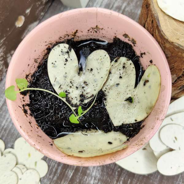 cuore carta seminabile fai da te ecofattoart